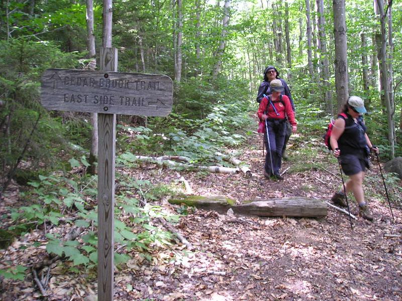 CdearBrook (16).JPG - After a couple hours of hiking we finally made it to the end of the Cedar Brook trail.